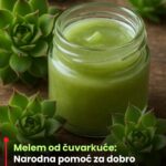 Melem 0d čuvarkuće: Narodna pomoć za dobro zdravlje kože i cijeli 0rganizam