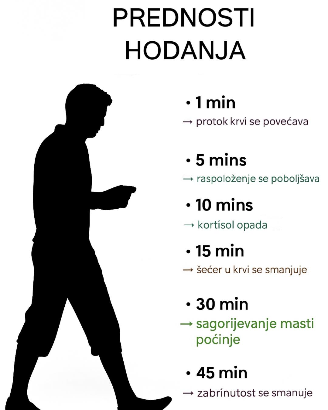 556134303_122162044826763532_3018509014172281647_n