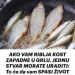 AKO VAM RIBLJA KOST ZAPADNE U GRLU, JEDNU STVAR MORATE URADITI: To će da vam SPASI ŽIVOT