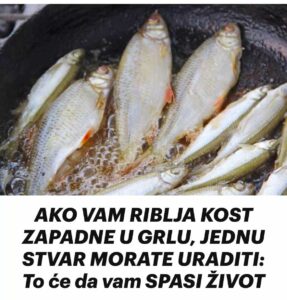 558123289_10229213599474772_1611625213923720213_n