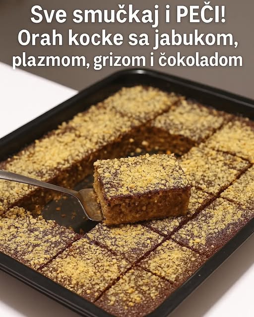 558318511_122109747543002364_9121974552292122417_n