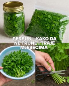 561286573_10229248886596928_3881931124112257612_n