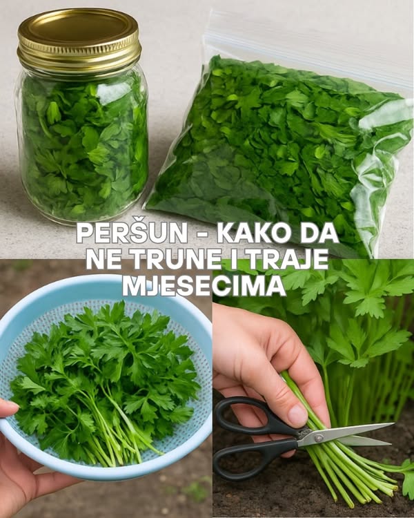 561286573_10229248886596928_3881931124112257612_n