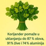 🌿 Jeste li znali? Cilantro (također poznat kao korijander) nije samo ukusna biljka – to je moćan prirodni detoksikator…..!