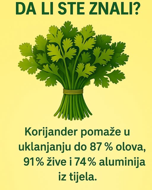 564551737_122164761212763532_502226444856824376_n