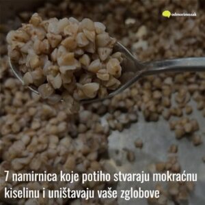 565075664_10229321867821413_8218926025484455173_n