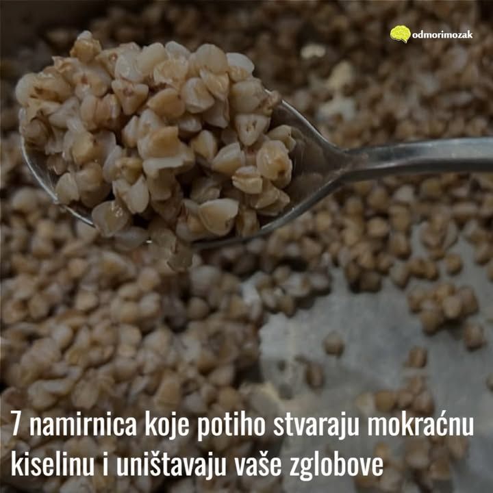 565075664_10229321867821413_8218926025484455173_n