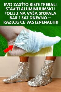 565111965_10229331351578501_8076484343256087852_n