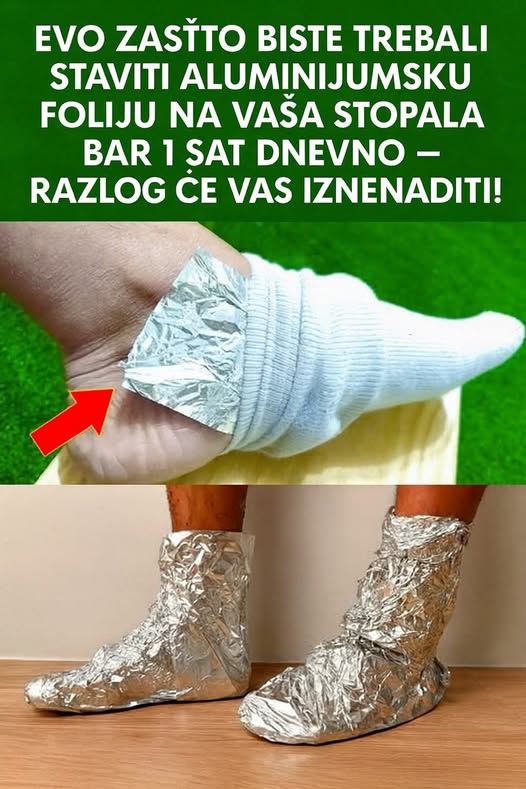 565111965_10229331351578501_8076484343256087852_n