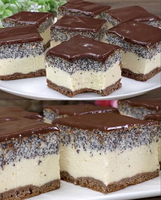 571172718_1399914251492147_338977855379403666_n