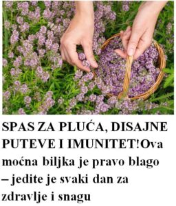 573894218_1405792494237656_3526545649747664171_n