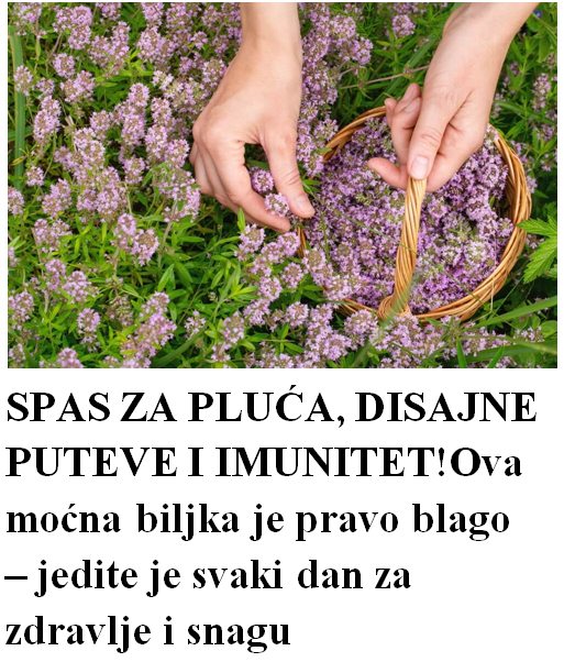 573894218_1405792494237656_3526545649747664171_n