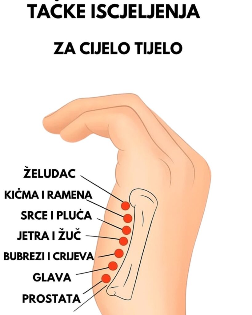 574577757_122145128204889735_1586887256984411068_n