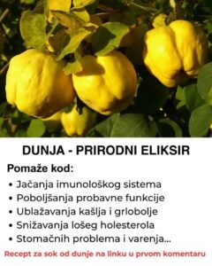 574963843_1417631329923579_1599616528337590011_n