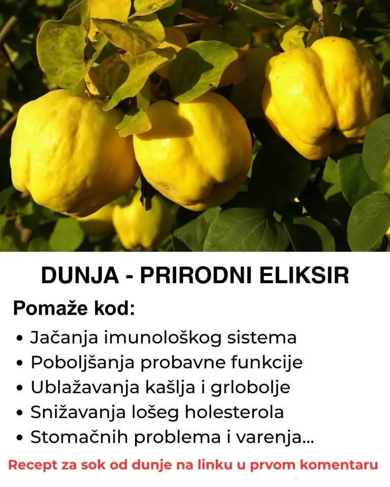 574963843_1417631329923579_1599616528337590011_n