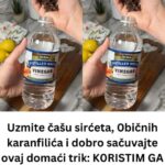 Uzmite čašu sirćeta, Običnih karanfilića i dobro sačuvajte ovaj domaći trik: KORISTIM GA GODINAMA I PREPORUČUJEM SVIMA!