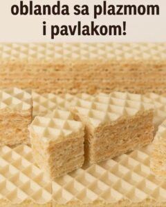 576777546_2486957905033925_4417302507829020801_n