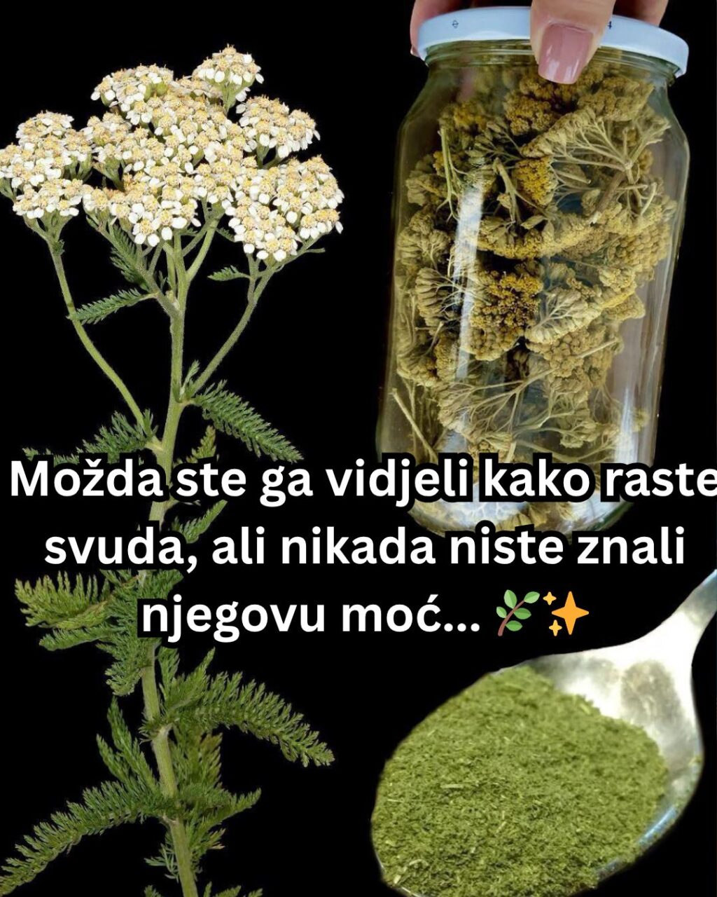 577040724_122167244276763532_7556694053356730965_n