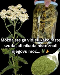 577040724_122167244276763532_7556694053356730965_n