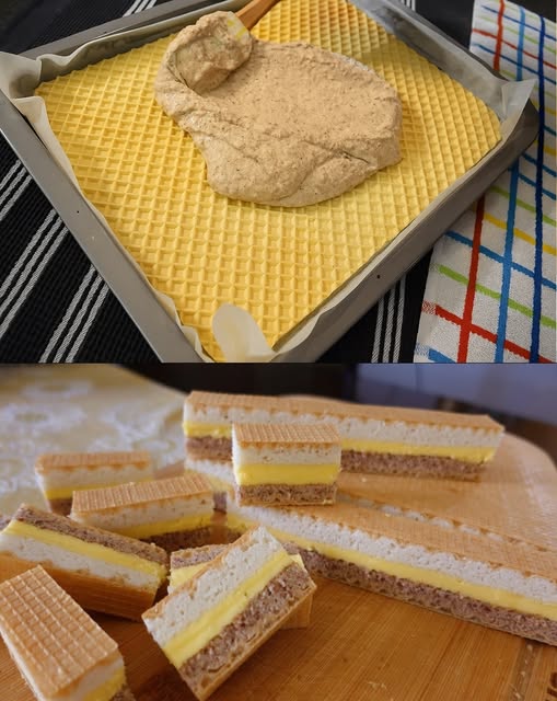 577454987_1382214706599276_1307388124837500069_n