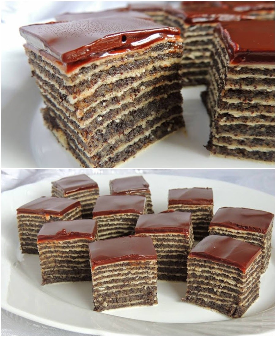 579184817_1386484756172271_8823839562740673984_n