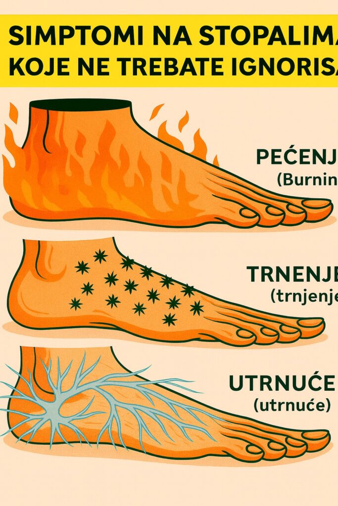 583916489_122169487382763532_4207108148203273958_n