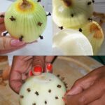 MOJA BAKA UVIJEK ZABADA KLINČIĆE U LUK 😯 — kada sam saznala zašto to radi, bila sam iznenađena! 😅 Sada i ja to radim i oduševljena sam ovim trikom 😍🌿