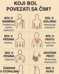 585521132_1432425751777470_649383123687631651_n