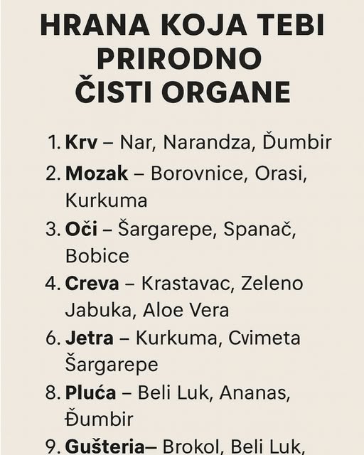 586033133_122170469186763532_2330682663207018506_n