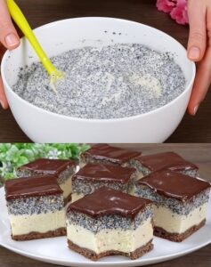 586616550_1432796155073763_7203851405427242095_n