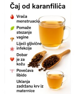 586754075_122170470104763532_3292356720857135387_n