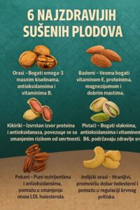 587035161_1432791908407521_340640739438288790_n