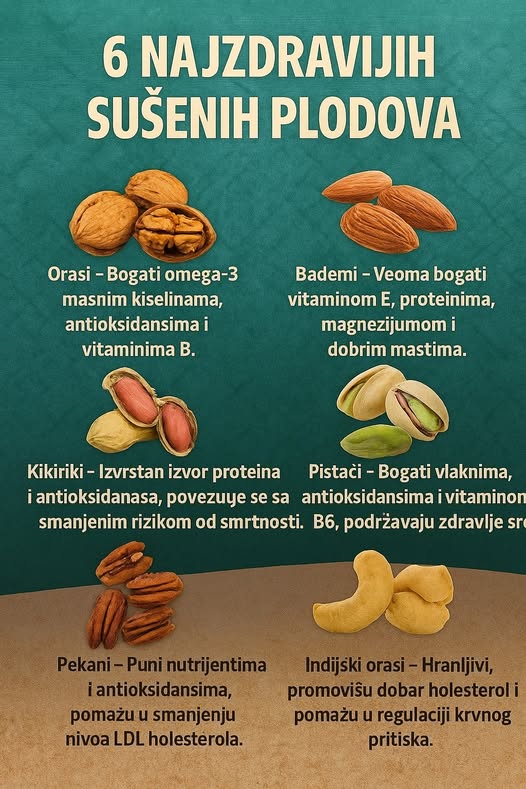 587035161_1432791908407521_340640739438288790_n