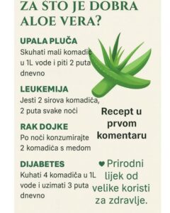 587153567_1251579577003210_2190505946617441410_n