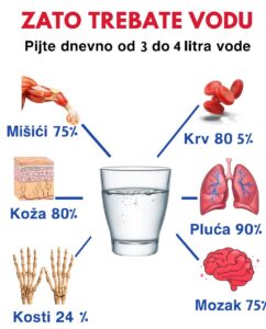 587323020_122170941464763532_946901483275504134_n