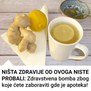 587460977_1166174938949783_477620818447093407_n