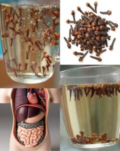 588589268_1434788894874489_9031883130431162079_n