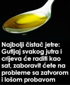 588780282_1398438331643580_1920767505398742687_n