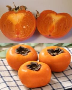 588847472_885251000500670_6370722629869116544_n