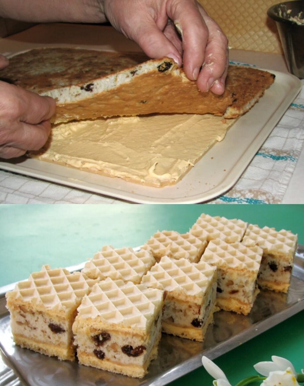 589428287_891567870065924_5651735955647176187_n