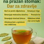🌿 Čaj od lovorovog lista: Jednostavan jutarnji ritual za prirodno zdravlje