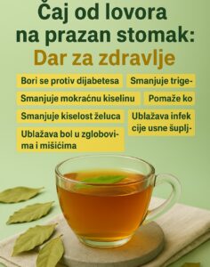 589549054_122170880978763532_1842237239406263062_n (1)