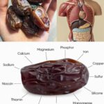 **NAJZDRAVIJE VOĆE NA SVIJETU: Čovjek može živjeti samo od datula i vode (moj djed je živio preko 100 godina uz 7 datula dnevno)**