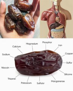 590879066_1218152833507182_2577473686635860198_n (1)