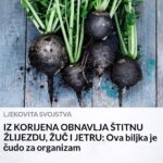 LIJEK ZA ISKAŠLJAVANJE ŠLAJMA: EVO KAKO DA IZBACITE ŠLAJM IZ GRLA I PLUĆA TE SEKRET IZ SINUSA…!