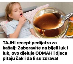 470206308_9017938981599097_4684652210347031085_n