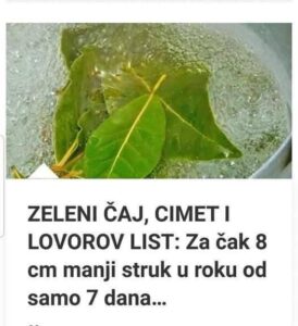 470486132_9101801319879529_6792829647167705860_n