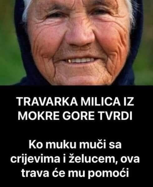 472338041_9129402620452732_8583779089942434698_n