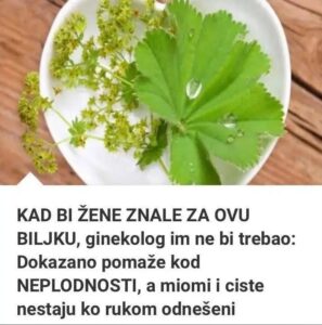 495154072_10053927774666874_2851226387811371280_n