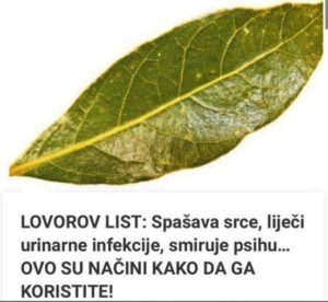 503876206_10227558714143673_4373868461272193105_n